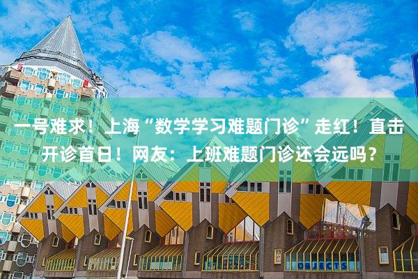 一号难求！上海“数学学习难题门诊”走红！直击开诊首日！网友：上班难题门诊还会远吗？