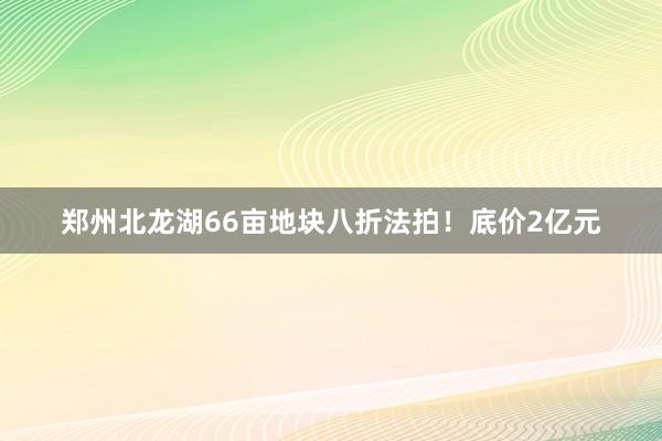 郑州北龙湖66亩地块八折法拍！底价2亿元