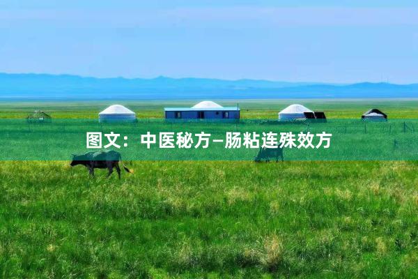 图文：中医秘方—肠粘连殊效方