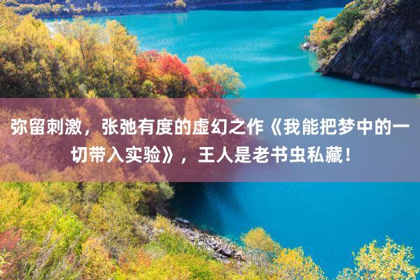 弥留刺激，张弛有度的虚幻之作《我能把梦中的一切带入实验》，王人是老书虫私藏！