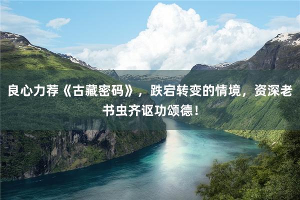 良心力荐《古藏密码》，跌宕转变的情境，资深老书虫齐讴功颂德！
