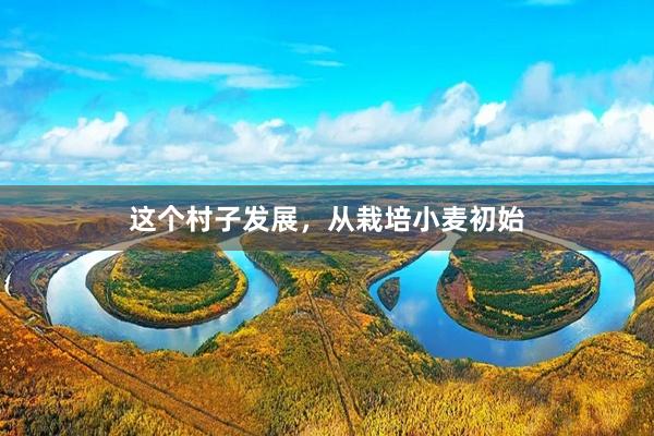 这个村子发展，从栽培小麦初始