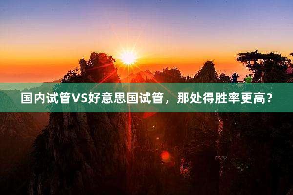 国内试管VS好意思国试管，那处得胜率更高？