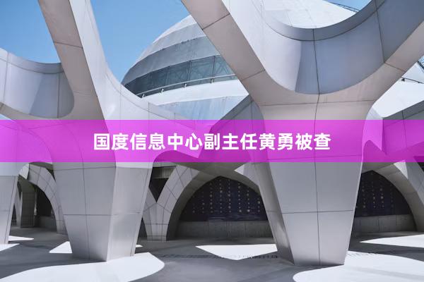 国度信息中心副主任黄勇被查