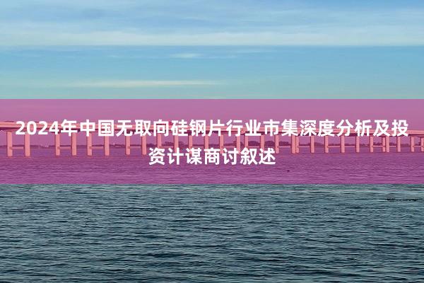 2024年中国无取向硅钢片行业市集深度分析及投资计谋商讨叙述
