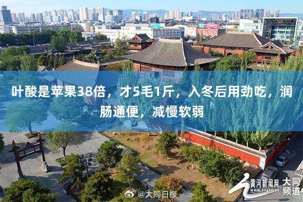 叶酸是苹果38倍，才5毛1斤，入冬后用劲吃，润肠通便，减慢软弱