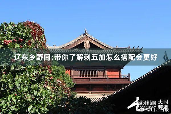 辽东乡野间:带你了解刺五加怎么搭配会更好