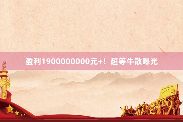 盈利1900000000元+！超等牛散曝光