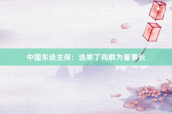 中国东谈主保：选举丁向群为董事长