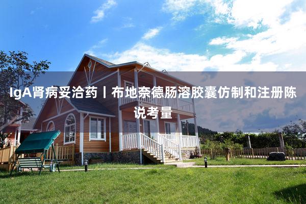 IgA肾病妥洽药丨布地奈德肠溶胶囊仿制和注册陈说考量
