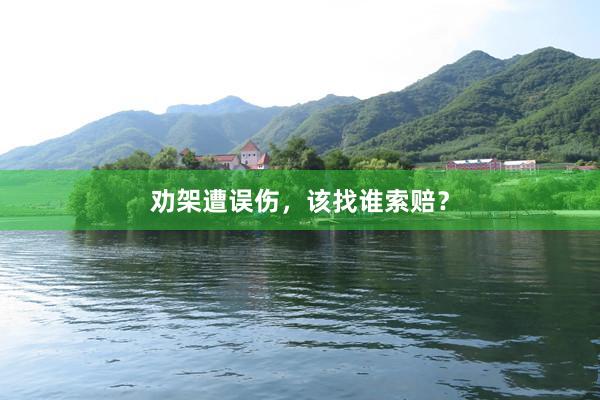 劝架遭误伤，该找谁索赔？