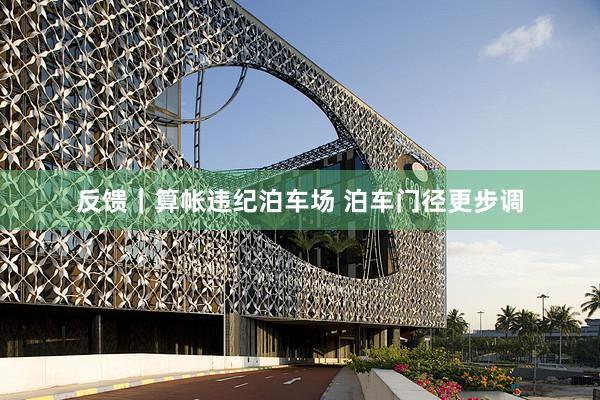反馈｜算帐违纪泊车场 泊车门径更步调