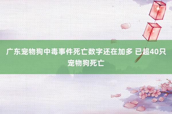 广东宠物狗中毒事件死亡数字还在加多 已超40只宠物狗死亡