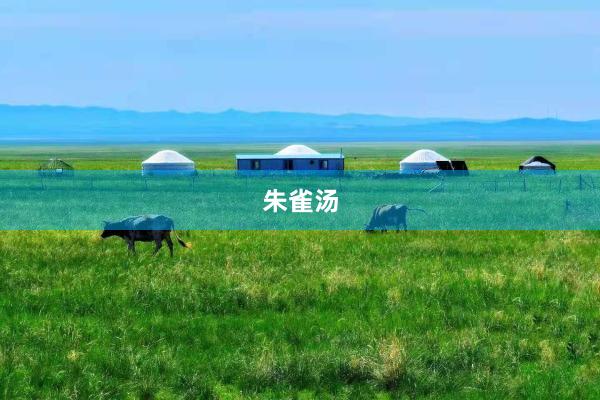 朱雀汤