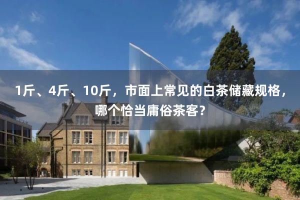 1斤、4斤、10斤，市面上常见的白茶储藏规格，哪个恰当庸俗茶客？