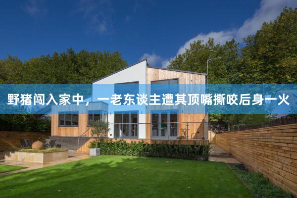野猪闯入家中，一老东谈主遭其顶嘴撕咬后身一火