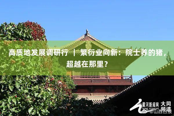 高质地发展调研行 ｜ 繁衍业向新：院士养的猪，超越在那里？