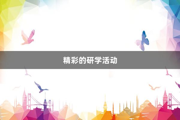 精彩的研学活动