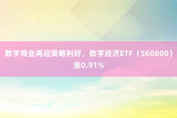 数字商业再迎策略利好，数字经济ETF（560800）涨0.91%