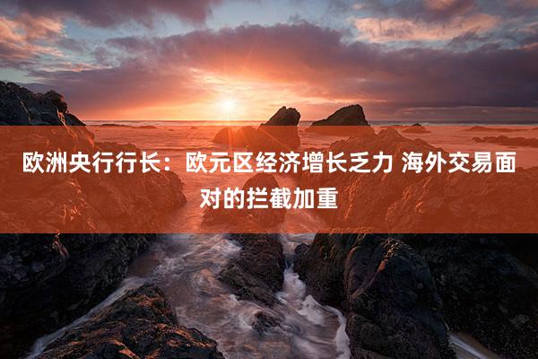 欧洲央行行长：欧元区经济增长乏力 海外交易面对的拦截加重