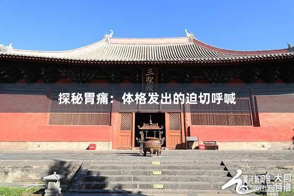 探秘胃痛：体格发出的迫切呼喊
