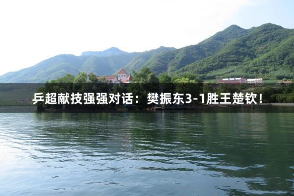 乒超献技强强对话：樊振东3-1胜王楚钦！