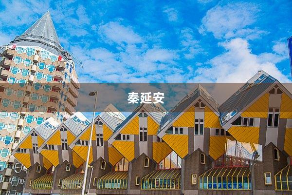 秦延安
